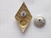 Знак выпускника педагогического вуза.Накладной.