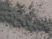 HPNX4428.JPG