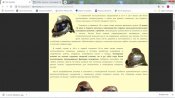 clipboard_image_ec14256c.jpg