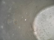 DSCN7973.jpg