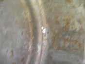 DSCN7974.jpg