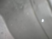 DSCN7976.jpg