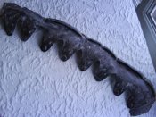 DSC01817.jpg