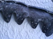 DSC01818.jpg