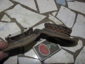 IMG_1733.jpg