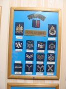 DSC01672.JPG