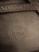 IMG_20191207_191053.jpg