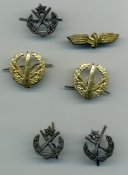 img008.jpg