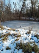 IMG_20191208_133528.jpg