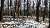 IMG_20191208_104308.jpg