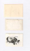макс 003.jpg