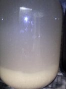 IMG_20191210_182146.jpg