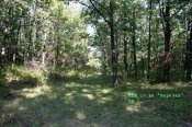 IMG_5787.jpg