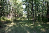IMG_5797.jpg