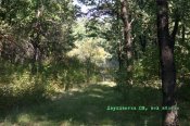 IMG_5786.jpg