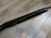 DSC_5919.JPG