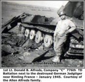 jadtiger1.jpg