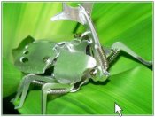 beetle_link.jpg