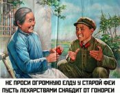 Китайская фея.jpg