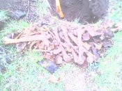IMG0017A.jpg