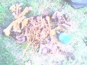 IMG0021A.jpg