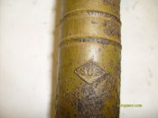 S6307646.jpg