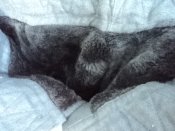 DSC03274.JPG