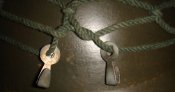 DSC00781.JPG
