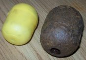 100_5105.jpg
