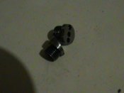 DSC01708.JPG