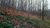 IMG_20191213_105701.jpg