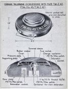 T.-Mi.-Pilz 43_3.jpg