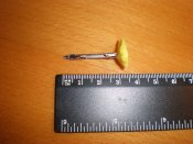 PC150453.JPG