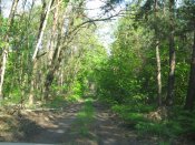 IMG_0019.JPG