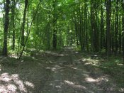 IMG_0038.JPG