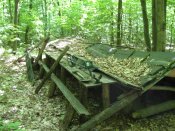 IMG_0045.JPG