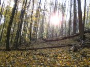 IMG_0057.JPG