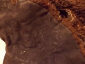 DSCN1193.jpg