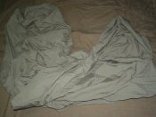 PC050226.jpg