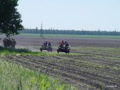 DSC03219.JPG