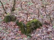 IMG_20191218_084228_2CS.jpg