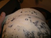 2012-11-30-1279.jpg