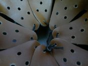 2012-12-14-1389.jpg