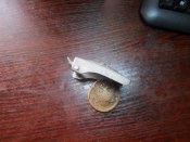 DSCN6130.jpg