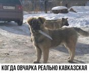 udLBXYJxFCk.jpg