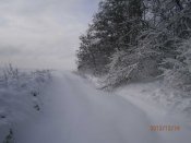 PC140032.jpg