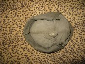 IMG_2771.jpg