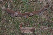 DSC_0156.jpg