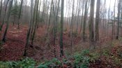 IMG_20191222_102140.jpg