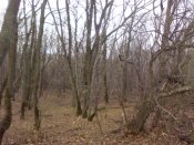 IMG_20191208_131617.jpg